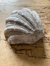 Load image into Gallery viewer, French plaster benitier (L)
