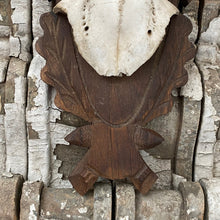 Load image into Gallery viewer, Mounted deer skull
