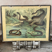 Load image into Gallery viewer, French classroom teaching aid - snakes
