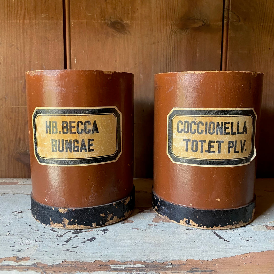 Pair of German wooden apothecary canisters