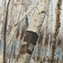 Load image into Gallery viewer, 1924 oil on board of silver birch forest

