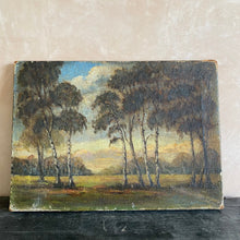 Load image into Gallery viewer, Oil on canvas landscape - copse of trees
