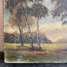 Load image into Gallery viewer, Oil on canvas landscape - copse of trees

