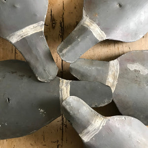 Set of decoy pigeon shells