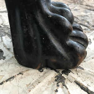 Varnished dark wood lion paw