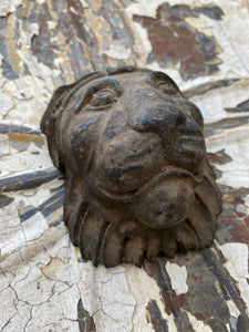 Composite lion's head