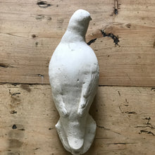 Load image into Gallery viewer, Plaster dove (taxidermy mould)
