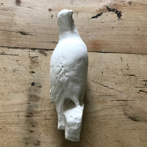 Plaster dove (taxidermy mould)