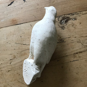 Plaster dove (taxidermy mould)
