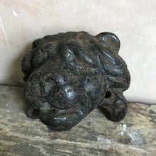 Load image into Gallery viewer, Cast iron lion&#39;s face
