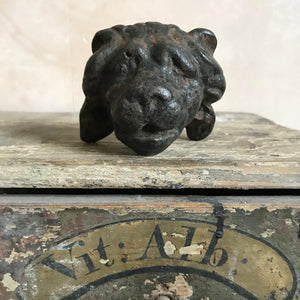 Cast iron lion's face