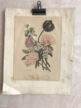 Load image into Gallery viewer, Coloured tulip &amp; peonies print

