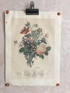 Coloured floral print