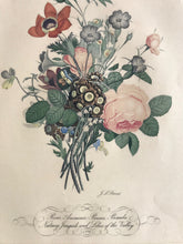 Load image into Gallery viewer, Coloured floral print
