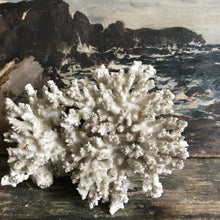 Load image into Gallery viewer, Vintage coral - medium
