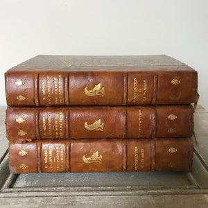Leather covered French books
