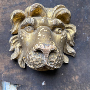 Old gilt wood carving lion's face
