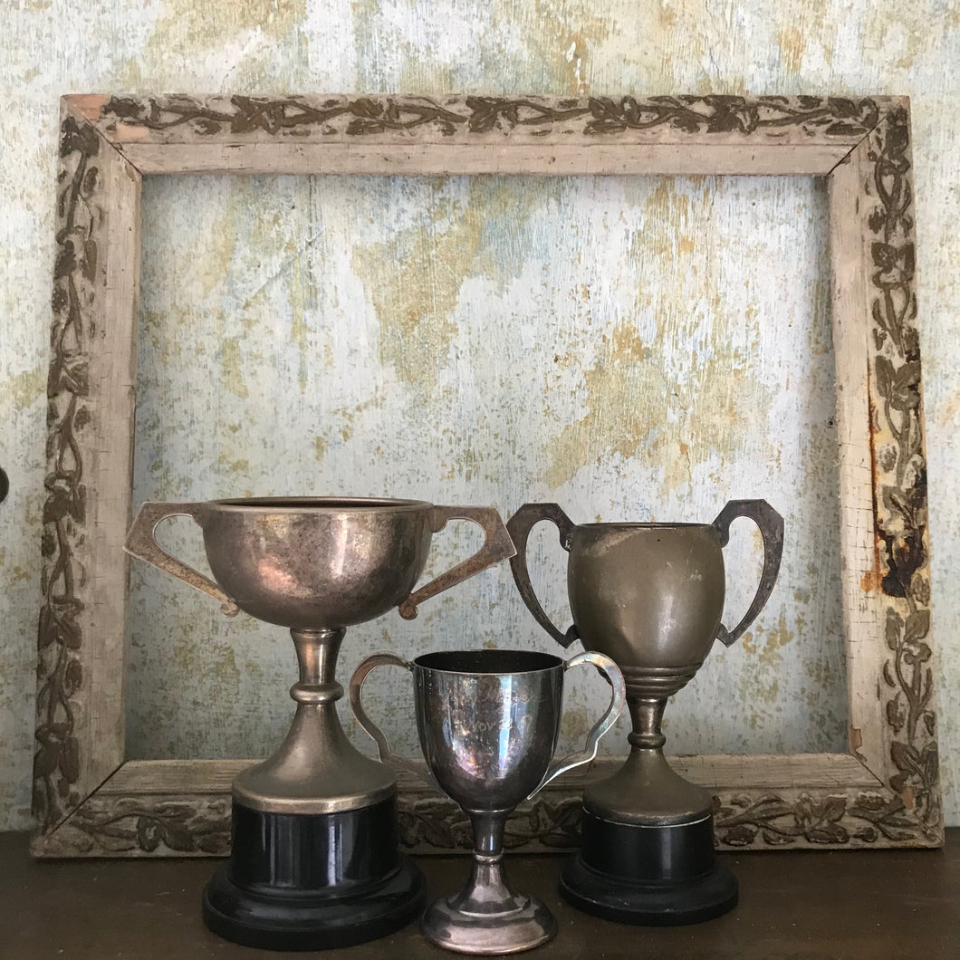 Trio of trophies (I)