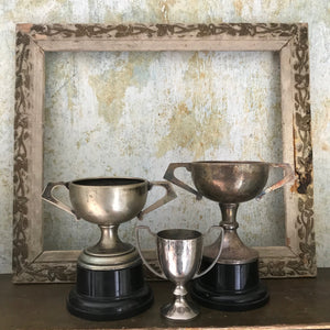 Trio of trophies (II)
