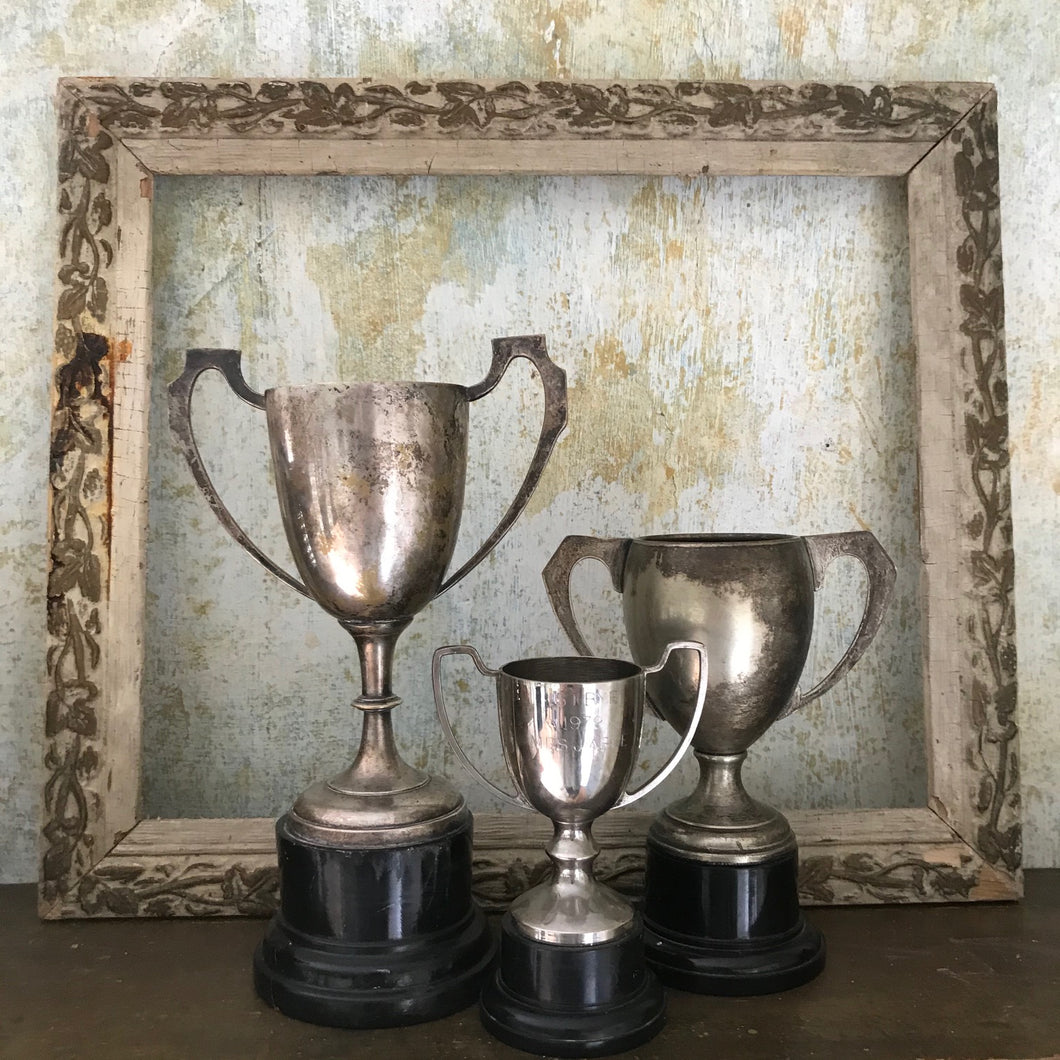 Trio of trophies (IV)