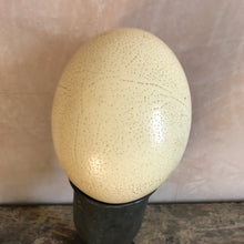 Load image into Gallery viewer, Vintage blown ostrich egg
