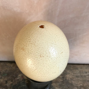 Vintage blown ostrich egg