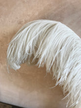 Load image into Gallery viewer, XL ostrich feather
