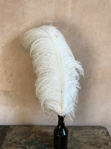 XL ostrich feather