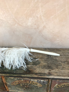 XL ostrich feather